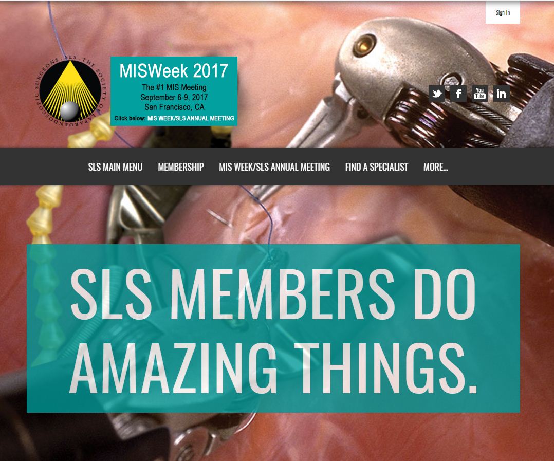 Society for Laparoendoscopic Surgeons