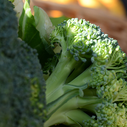 Broccoli is rich in iron