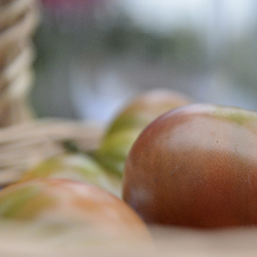 Summer tomatoes