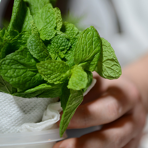 Chef with Mint and Herbs