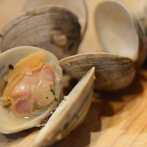 Clams as a source of B12